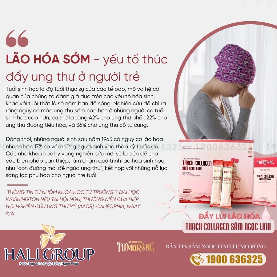 Thạch Collagen Sâm Ngọc Linh TuMơRông 