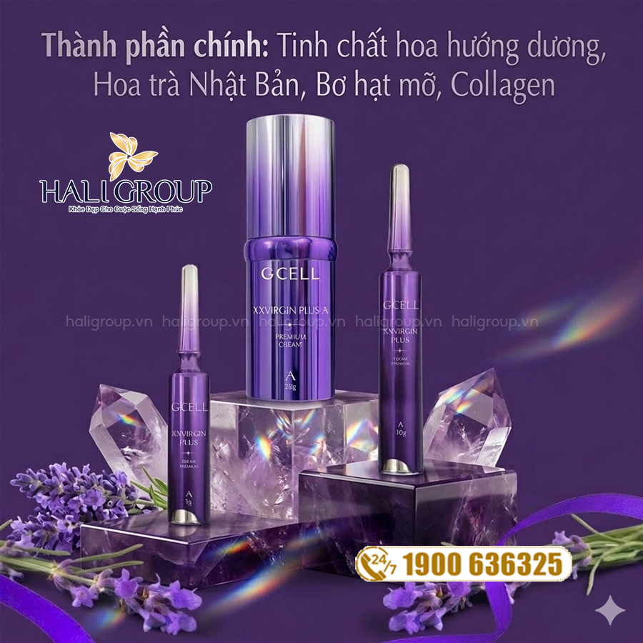 thành phần Kem Hồng Nách, Bẹn, Mông GCELL XX VIRGIN PLUS A 10g
