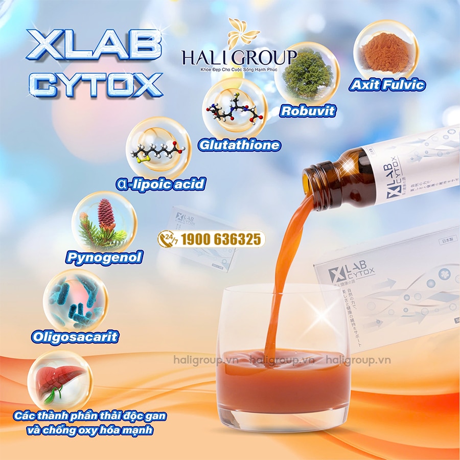 thành phần nước uống thải độc tế bào xlab cytox