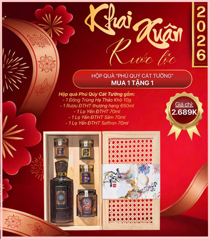 km-kcv-2026-phu-quy-cat-tuong-haligroup