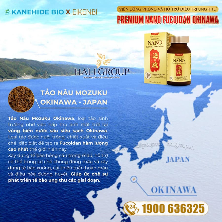 Viên Uống Nano Fucoidan Okinawa Premium Eikenbi