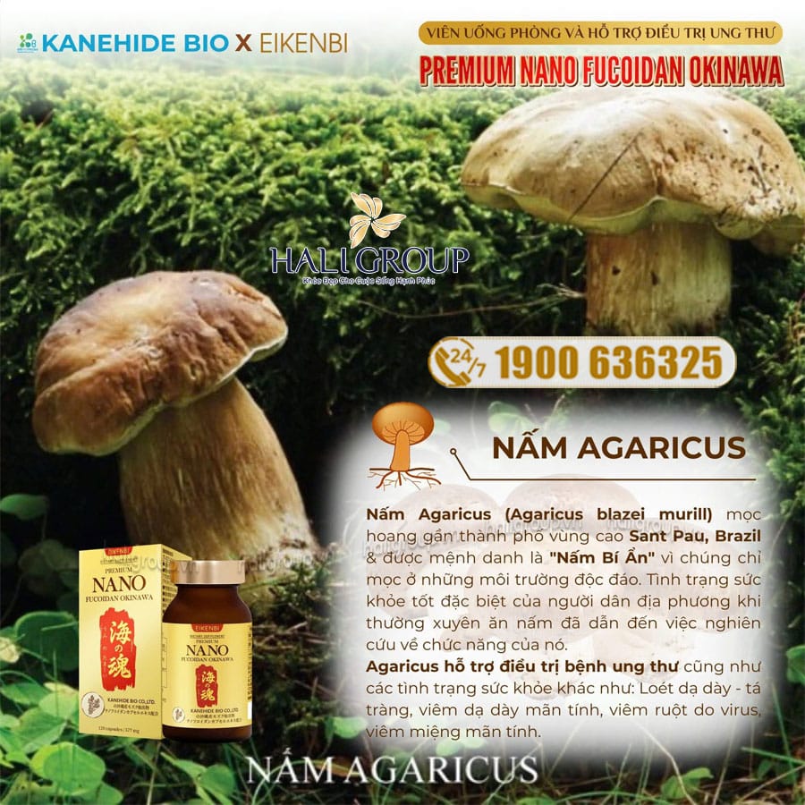 Viên Uống Nano Fucoidan Okinawa Premium Eikenbi