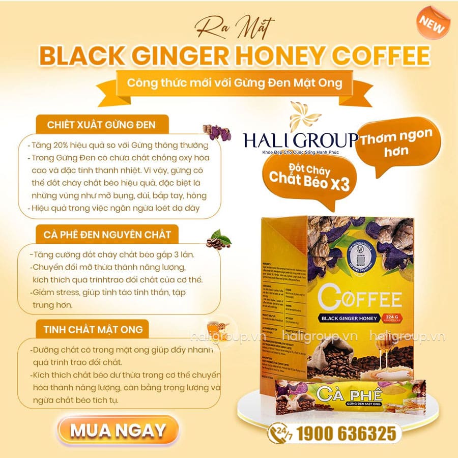 thành phần cà phê giảm cân gừng đen mật ong black ginger honey coffee