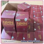 Viên NMN Đông Trùng Linh Chi Thingo - Hộp 60 Viên