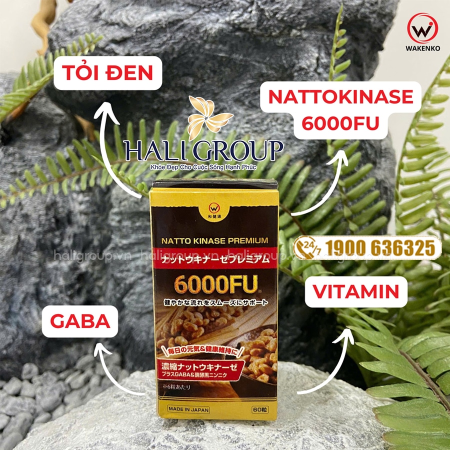 thành phần Viên Uống Natto Kinase 6000FU Wakenko