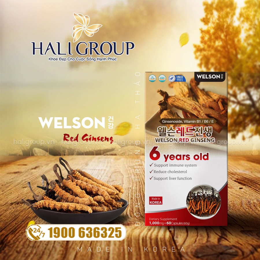cách dùng Viên Uống Hồng Sâm Đông Trùng Hạ Thảo Welson Red Ginseng