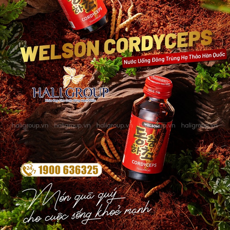 Nước Uống Hồng Sâm Đông Trùng Hạ Thảo Welson Cordyceps Gold