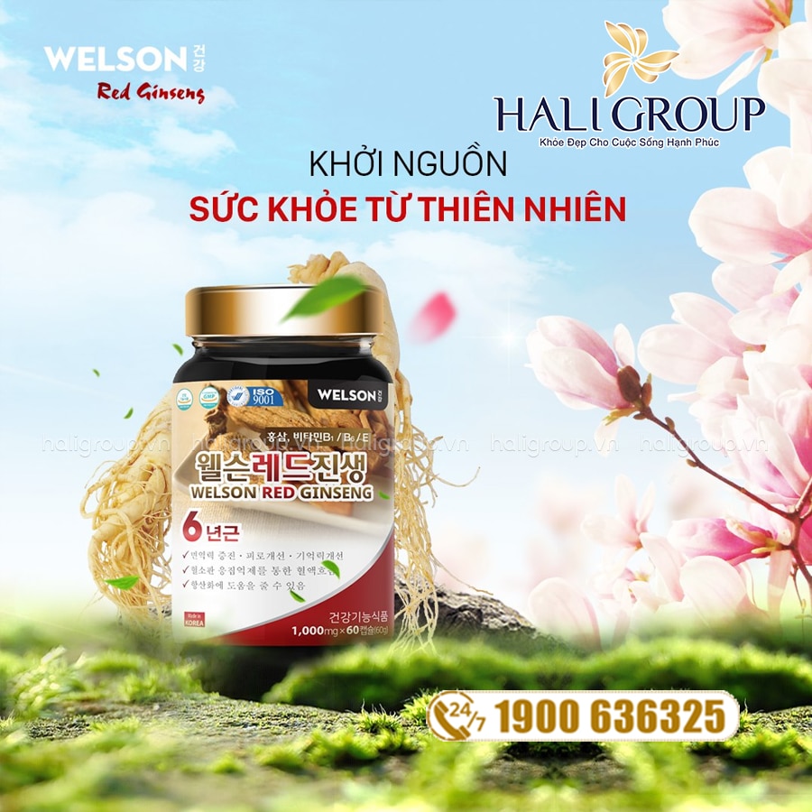 Viên Hồng Sâm Đông Trùng Hạ Thảo Welson Red Ginseng