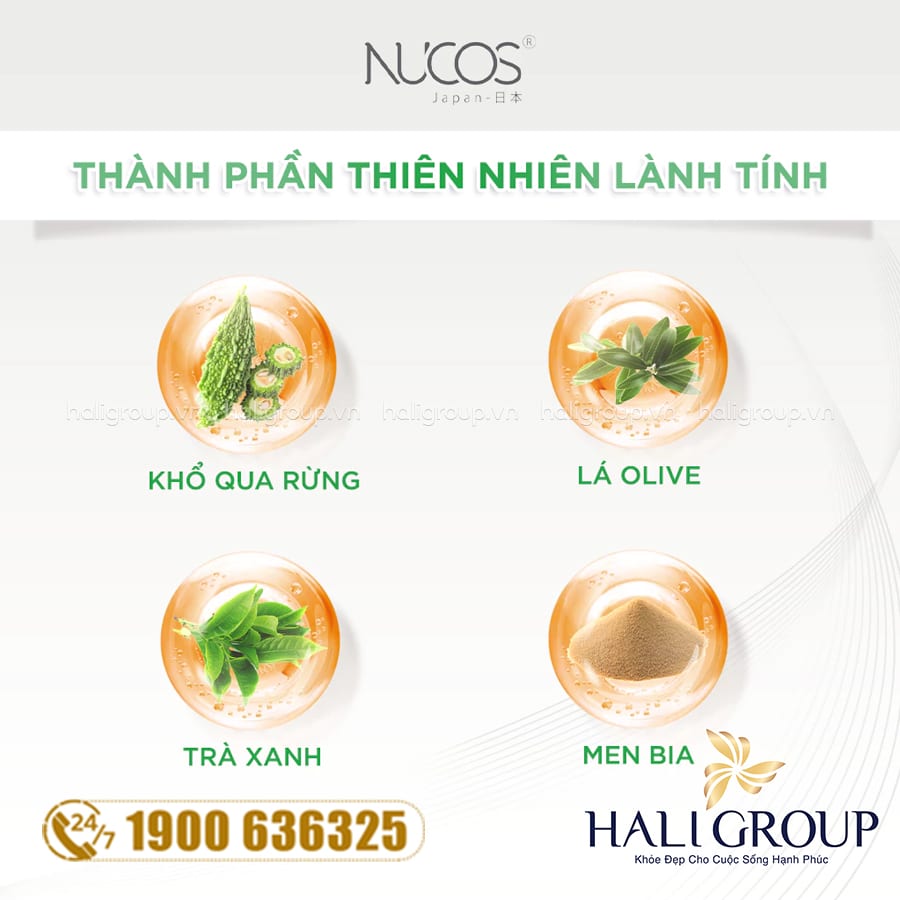 thành phần Viên Uống Nucos Diabetes – Hỗ Trợ Kiểm Soát Đường Huyết