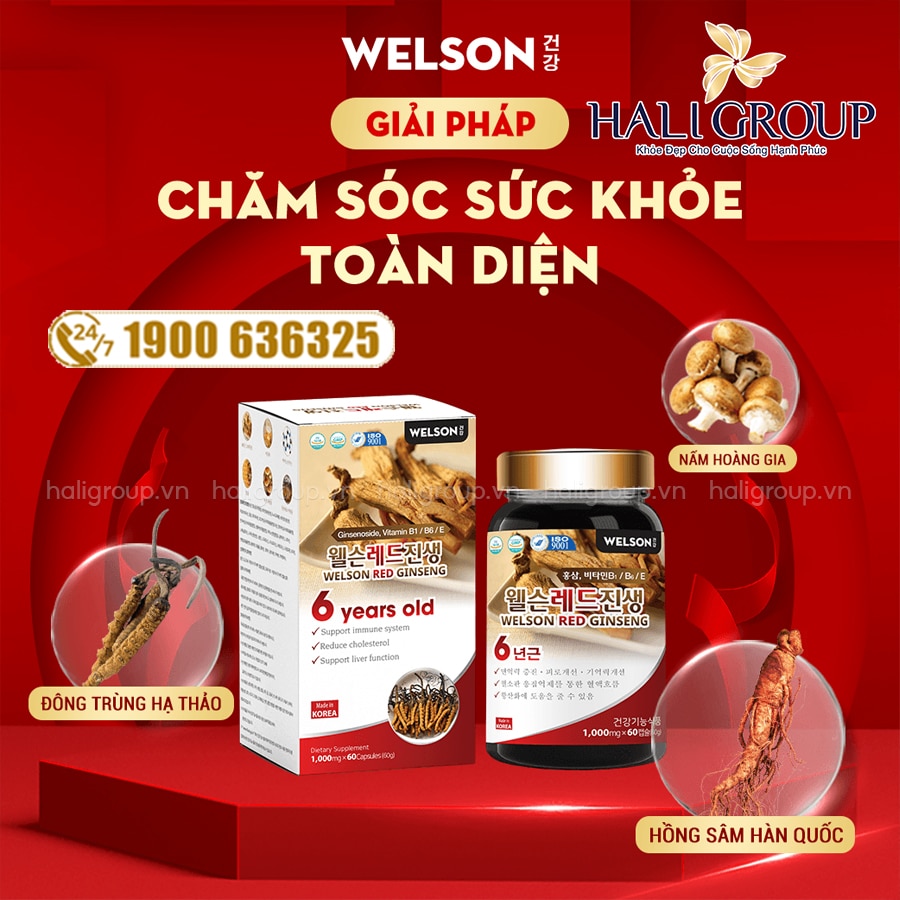 thành phần Viên Uống Hồng Sâm Đông Trùng Hạ Thảo Welson Red Ginseng