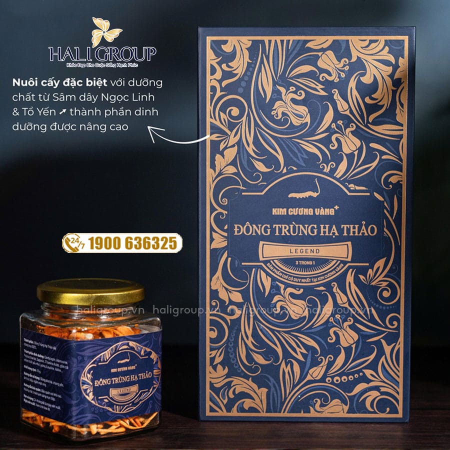 Đông Trùng Hạ Thảo Legend Kim Cương Vàng 20g