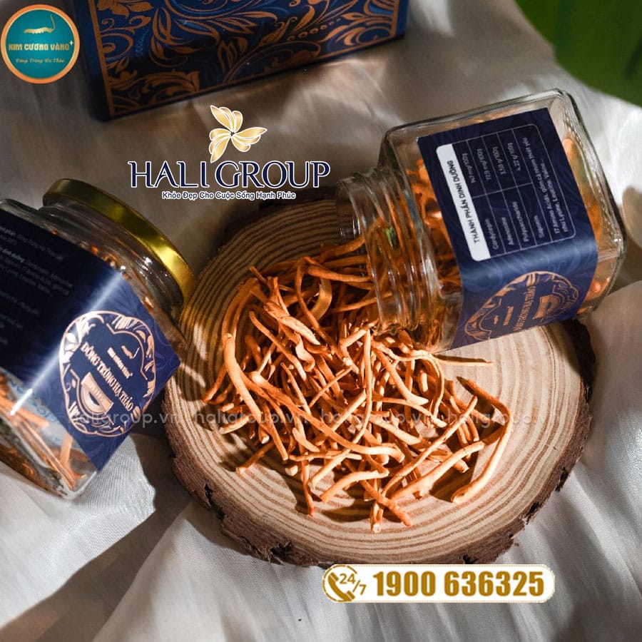 thành phần Đông Trùng Hạ Thảo Legend Kim Cương Vàng