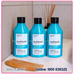 Dầu Gội Dành Cho Da Đầu Bị Gàu Và Tóc Bết Inopharm Scalp Care Anti-Dandruff Shampoo - Ảnh 3