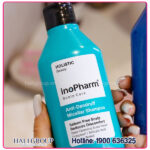 Dầu Gội Dành Cho Da Đầu Bị Gàu Và Tóc Bết Inopharm Scalp Care Anti-Dandruff Shampoo - Ảnh 4