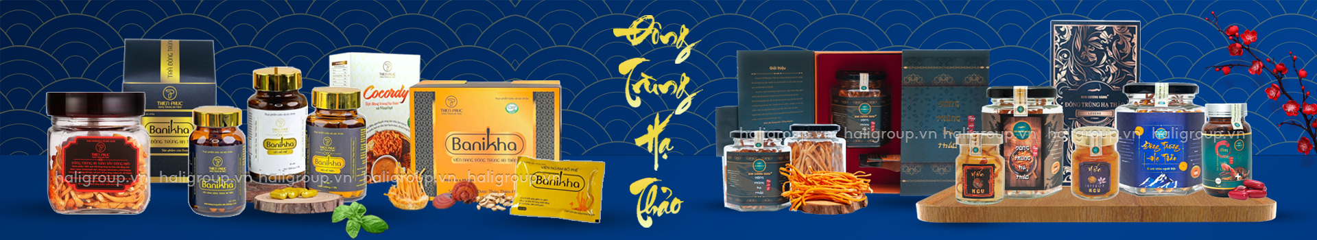 banner đông trùng hạ thảo thiên phúc và kim cương vàng