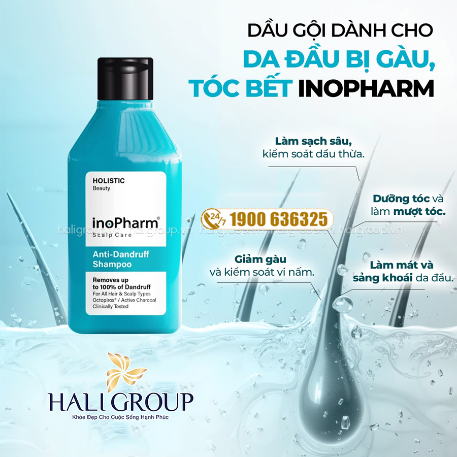 công dụng Dầu Gội Dành Cho Da Đầu Bị Gàu Và Tóc Bết Inopharm Scalp Care Anti-Dandruff Shampoo