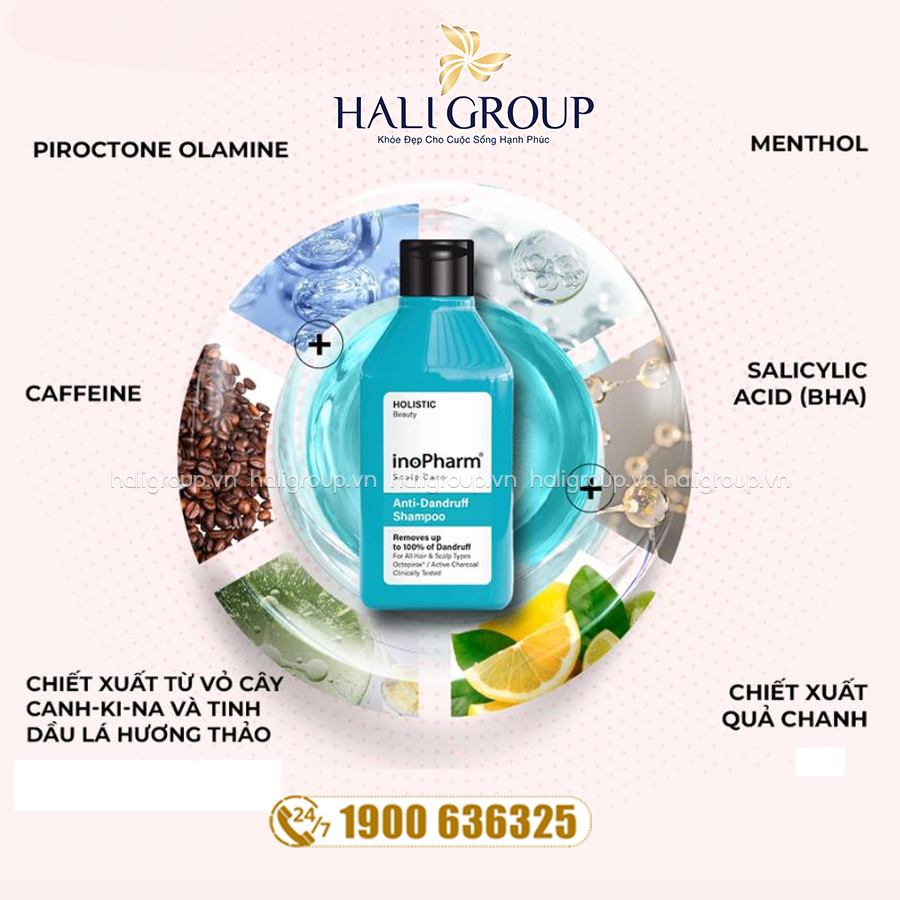 thành phần Dầu Gội Dành Cho Da Đầu Bị Gàu Và Tóc Bết Inopharm Scalp Care Anti-Dandruff Shampoo
