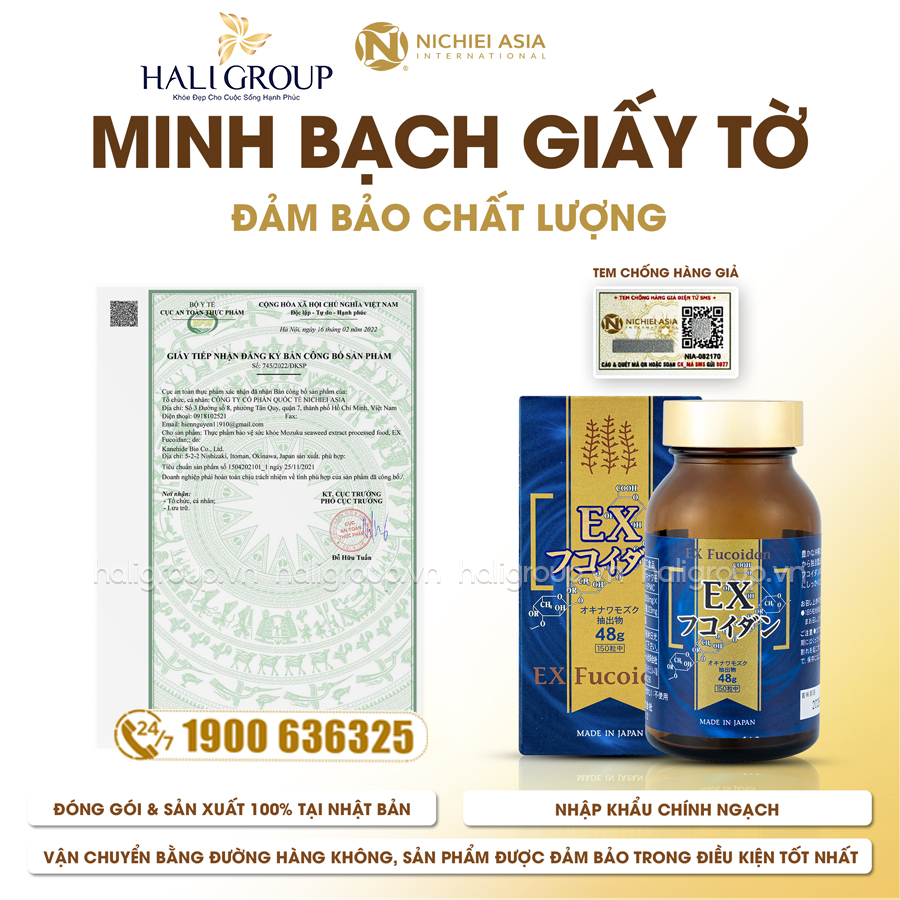 giấy phép Viên Uống Ex Fucoidan Nichiei Asia Nhật Bản