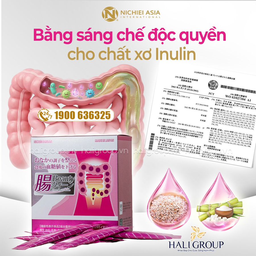 thành phần Intestines Beauty Queen Nichiei Asia Nhật Bản