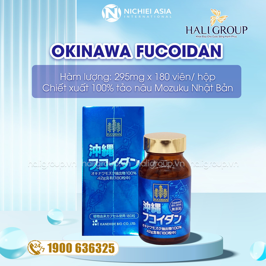thành phần Viên Uống Okinawa Fucoidan Nichiei Asia Nhật Bản