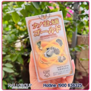 Viên Tinh Chất Hàu Nano Oyster Gold 5 in 1 Nichiei Bussan