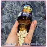 Viên Uống Hỗ Trợ Sức Khỏe Xương Khớp Nano Premium Shark Cartilage Nichiei Bussan Nichiei Asia - Ảnh 3